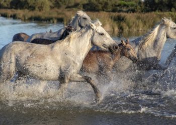 7 Reasons Why Natural Energy is the Future of Power