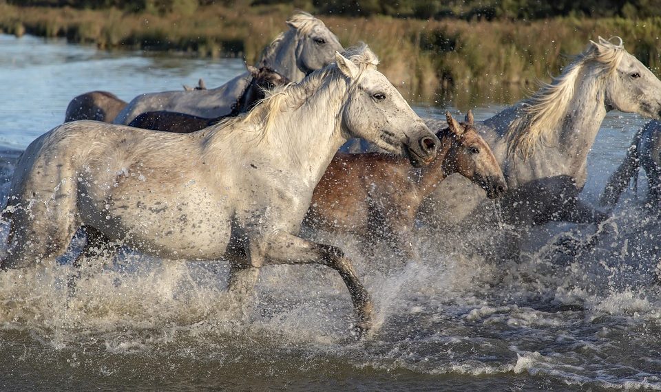 7 Reasons Why Natural Energy is the Future of Power