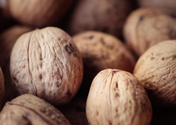 7 Reasons You Need Collagen Protein in Your Diet Today