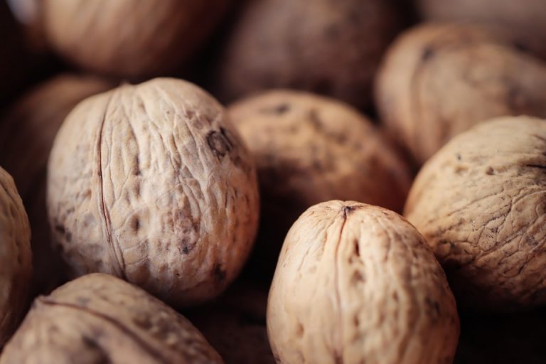 7 Reasons You Need Collagen Protein in Your Diet Today