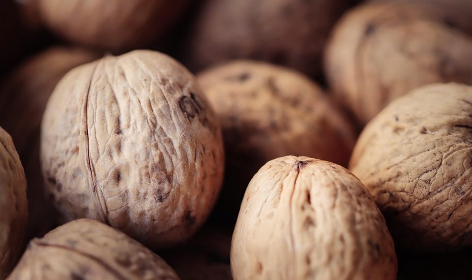 7 Reasons You Need Collagen Protein in Your Diet Today