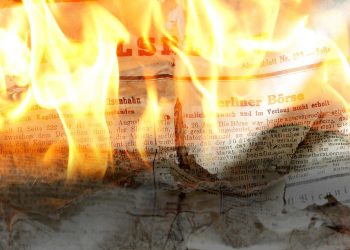 7 Reasons to Add Moringa Daily to Your Routine Now!