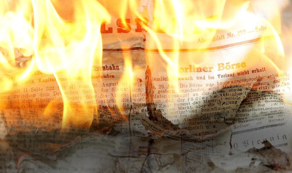 7 Reasons to Add Moringa Daily to Your Routine Now!