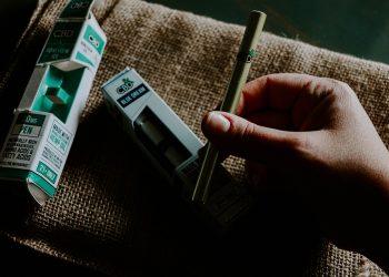 7 Reasons to Add Moringa Leaf Extract to Your Diet Today