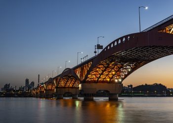 7 Reasons to Buy Moringa for Your Health Today!