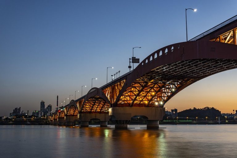 7 Reasons to Buy Moringa for Your Health Today!