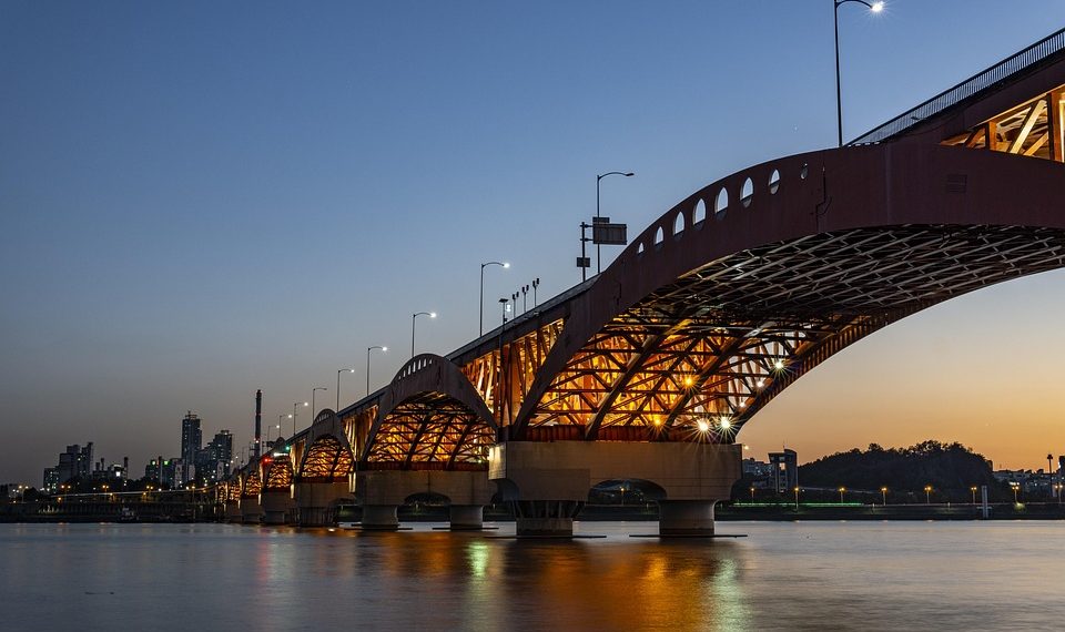 7 Reasons to Buy Moringa for Your Health Today!