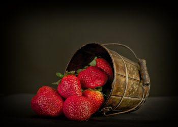 7 Reasons to Choose Organic Produce for Your Health