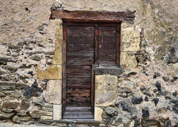 7 Reasons to Start Drinking Collagen Today!