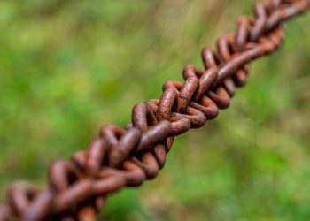 7 Science-Backed Ways to Boost Your Mind-Body Connection