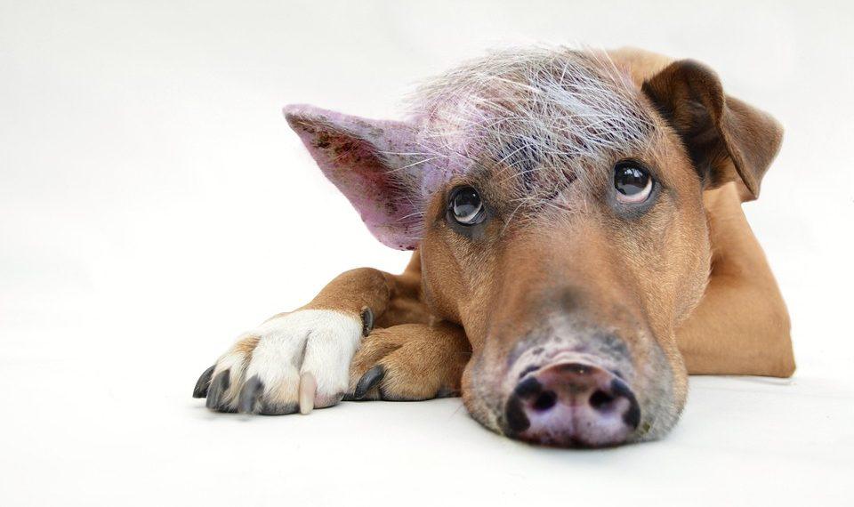 7 Secrets Wellness Coaches Use for Lasting Change