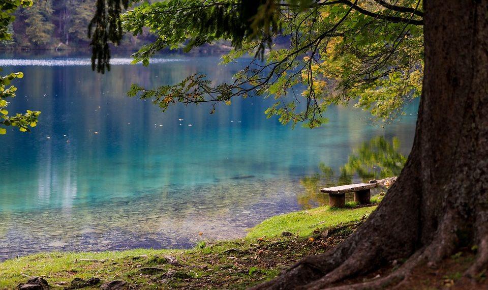 7 Secrets for a Restful Night’s Sleep You Must Try