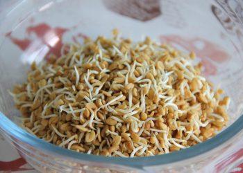 7 Secrets of Fenugreek for Better Blood Sugar Control