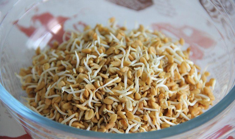 7 Secrets of Fenugreek for Better Blood Sugar Control
