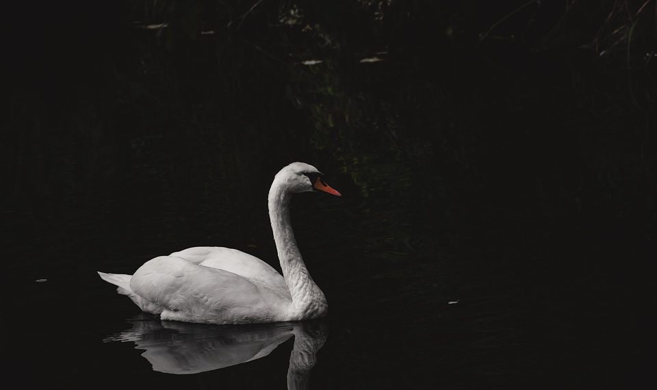 7 Secrets to Achieve Natural Bladder Calm Today