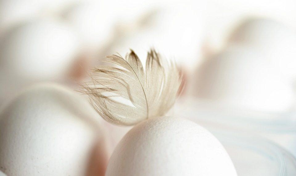 7 Secrets to Boost Your Metabolism Naturally