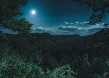 7 Secrets to Conquer Nighttime Overactive Bladder