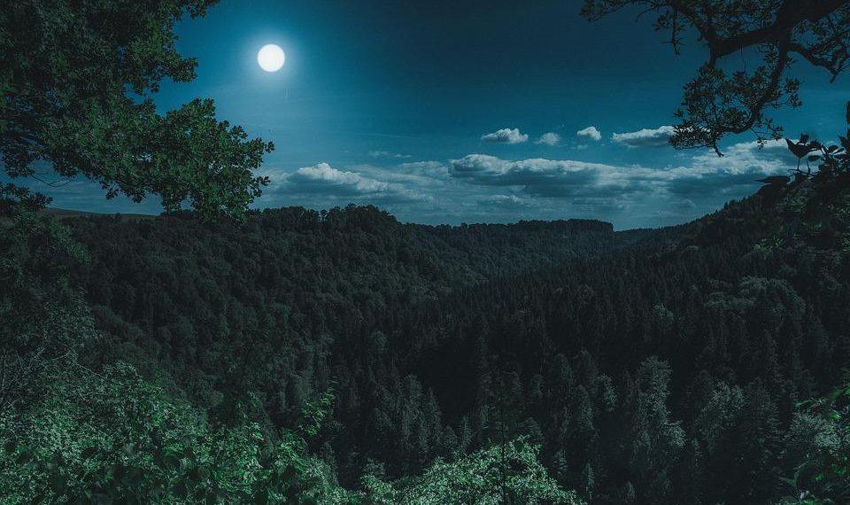 7 Secrets to Conquer Nighttime Overactive Bladder