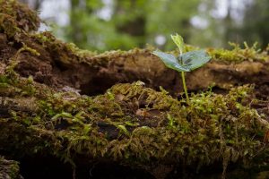 7 Secrets to Glowing Skin: Rejuvenate Today!