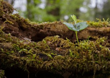 7 Secrets to Glowing Skin: Rejuvenate Today!