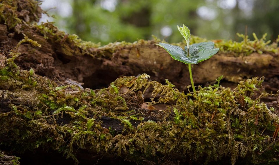 7 Secrets to Glowing Skin: Rejuvenate Today!