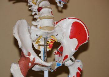 7 Secrets to Happier, Healthier Joints Today!