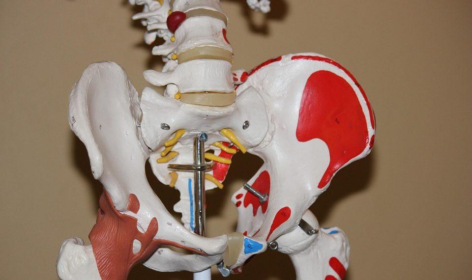 7 Secrets to Happier, Healthier Joints Today!