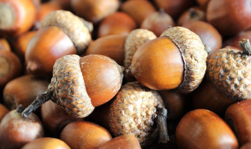 7 Secrets to Living a Longer, Healthier Life