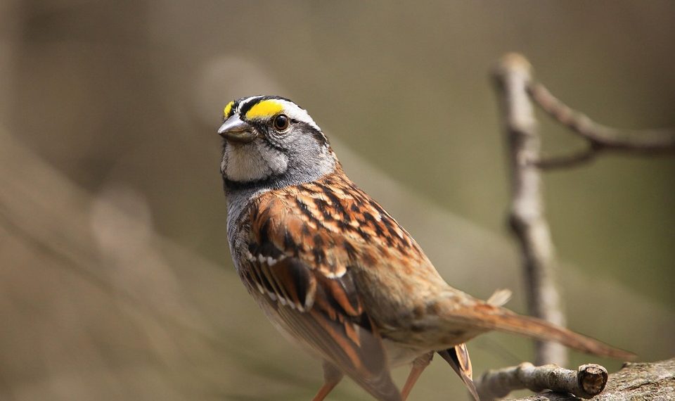 7 Secrets to Rapid Belly Fat Loss You Must Try Today!