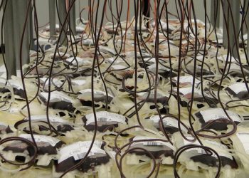 7 Secrets to Stable Blood Sugar You Need to Know