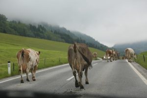 7 Secrets to Supercharge Your Energy Metabolism Boost