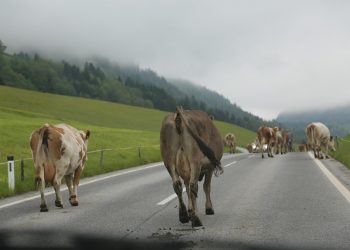 7 Secrets to Supercharge Your Energy Metabolism Boost