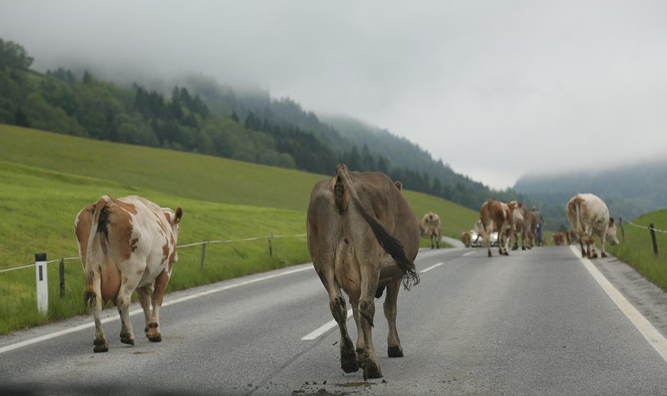 7 Secrets to Supercharge Your Energy Metabolism Boost