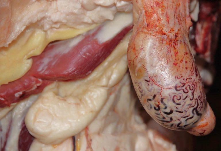 7 Secrets to Sustainable Fat Loss You Need to Know