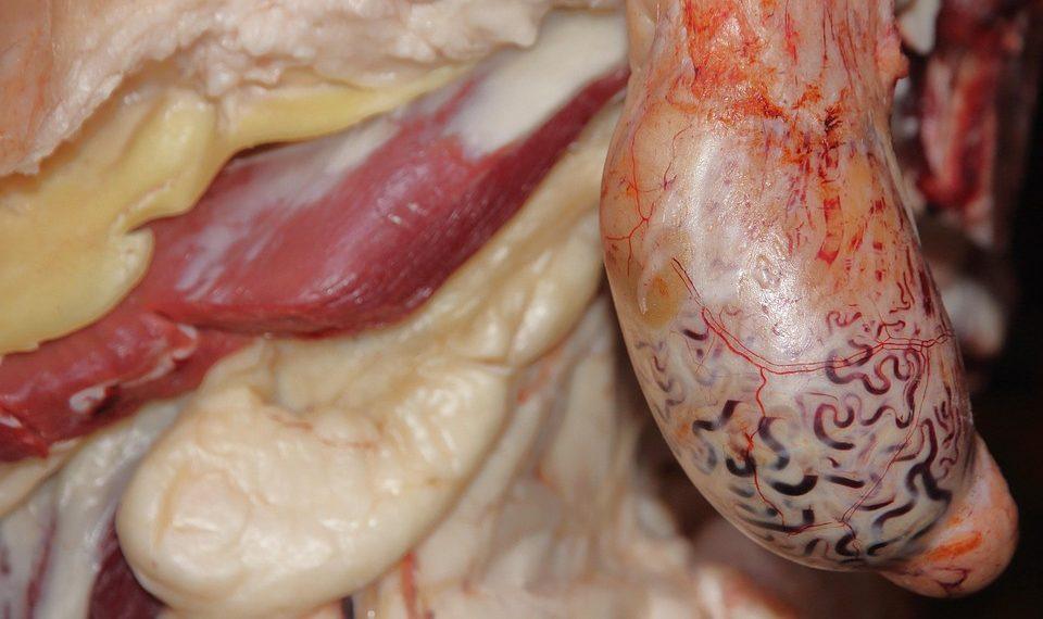 7 Secrets to Sustainable Fat Loss You Need to Know