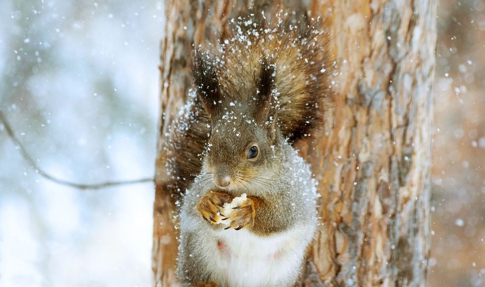 7 Secrets to Transform Your Eating Habits Mindfully