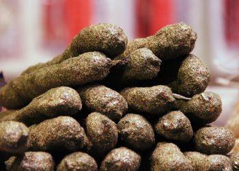 7 Secrets to Transform Your Gut Health Today