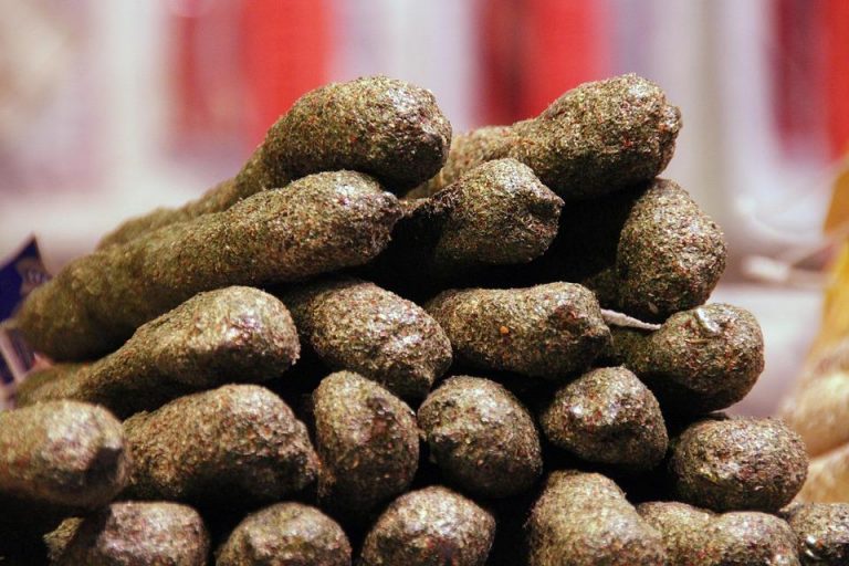 7 Secrets to Transform Your Gut Health Today