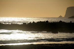 7 Secrets to Transform Your Mindset for Wellness