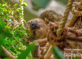 7 Secrets to Unlocking Deep, Restful Sleep Tonight