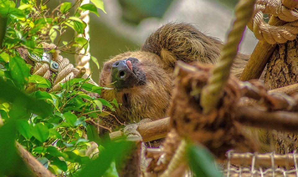 7 Secrets to Unlocking Deep, Restful Sleep Tonight