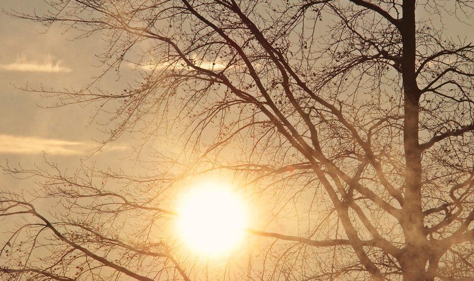 7 Simple Mood Boosters You Can Try Today