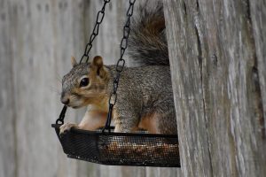 7 Simple Steps to Balance Your Chakras Today