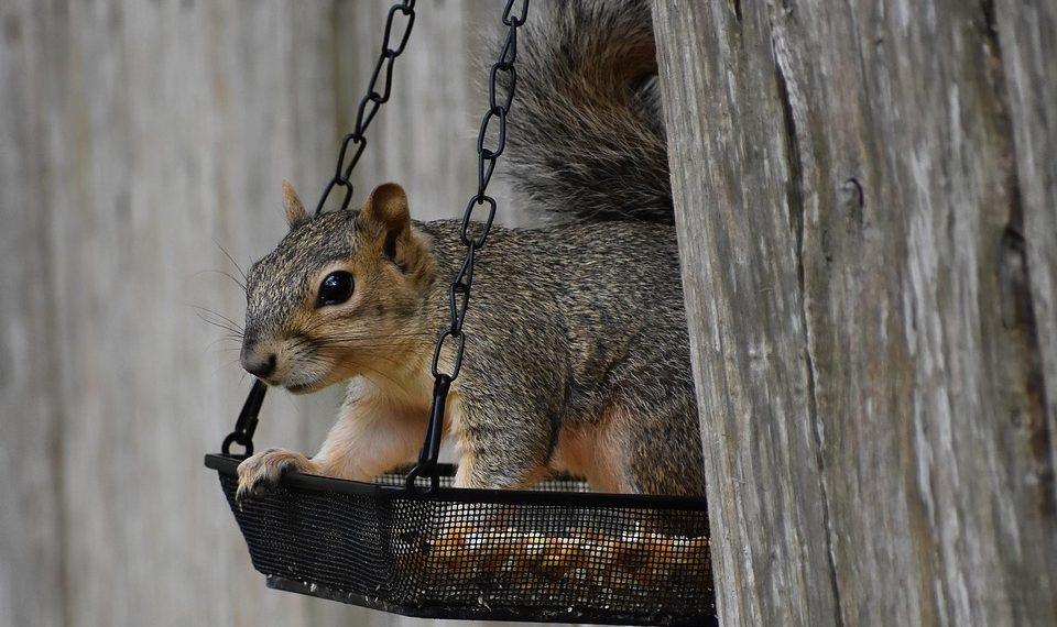 7 Simple Steps to Balance Your Chakras Today