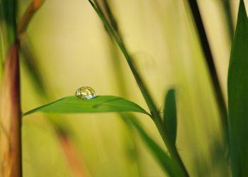 7 Simple Steps to Embrace Holistic Wellness Today