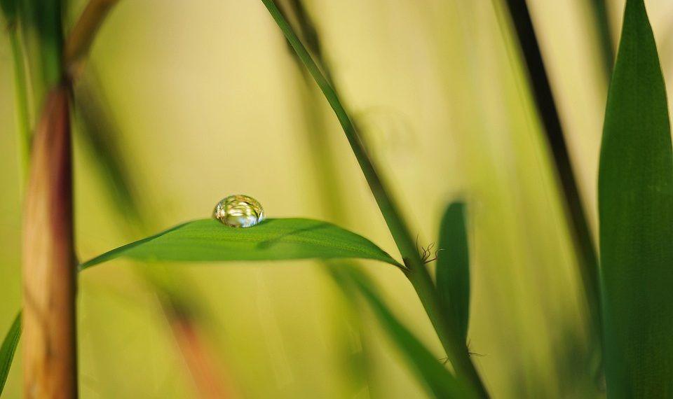 7 Simple Steps to Embrace Holistic Wellness Today