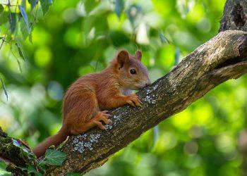 7 Simple Steps to Master Mindful Eating Today