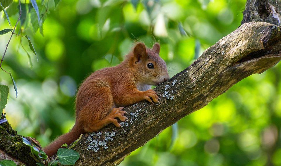 7 Simple Steps to Master Mindful Eating Today