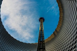 7 Simple Steps to Transform Your Gut Health Today