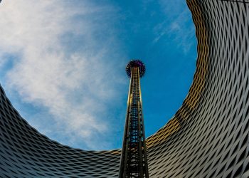 7 Simple Steps to Transform Your Gut Health Today